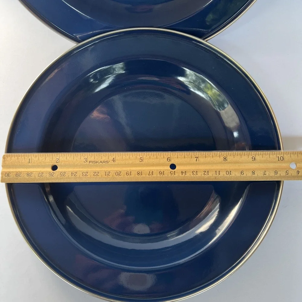Discontinued Pottery Barn Enamelware Plate Blue 10